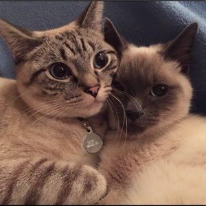 Meet your Posher, Marla